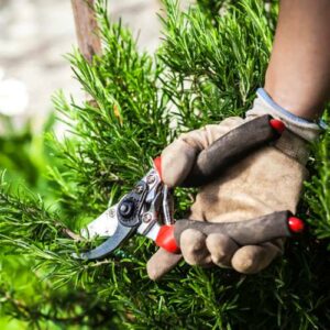 Accessori per casa e giardino