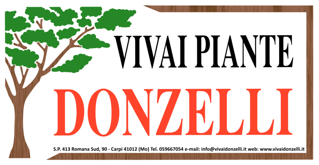 SupaGarden Piantabulbi In Acciaio Carbonio – Attrezzo Da Giardinaggio Con Manico In Legno - 3